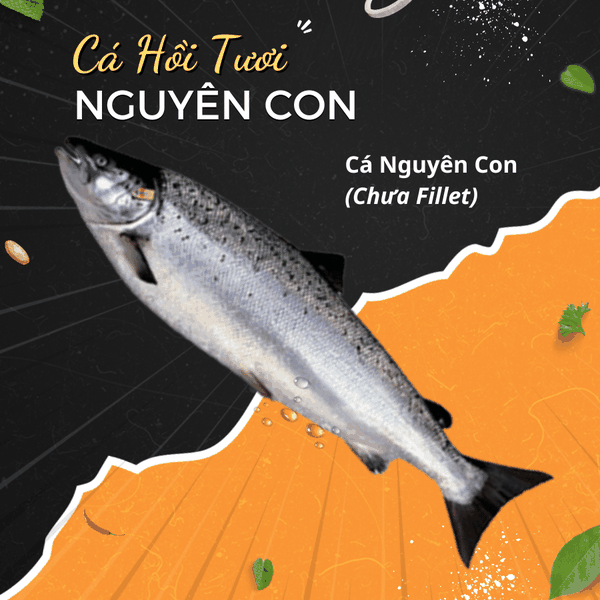 Cá Hồi Tươi - Nguyên Con