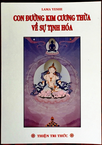 CON ĐƯỜNG KIM CƯƠNG THỪA VỀ SỰ TỊNH HÓA
