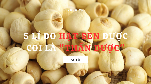 5 lí do hạt sen được ví như “thần dược” đối với sức khỏe tim mạch Vô ưu