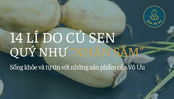 14 lí do củ sen được ví như 