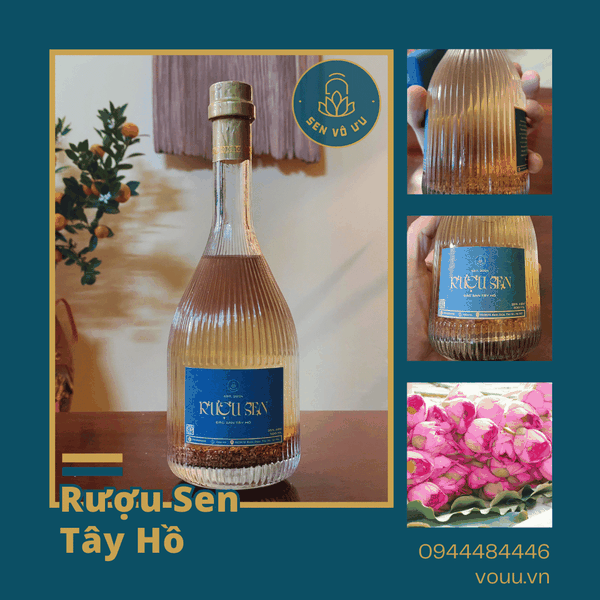 Rượu sen Tây Hồ | Sen Vô Ưu