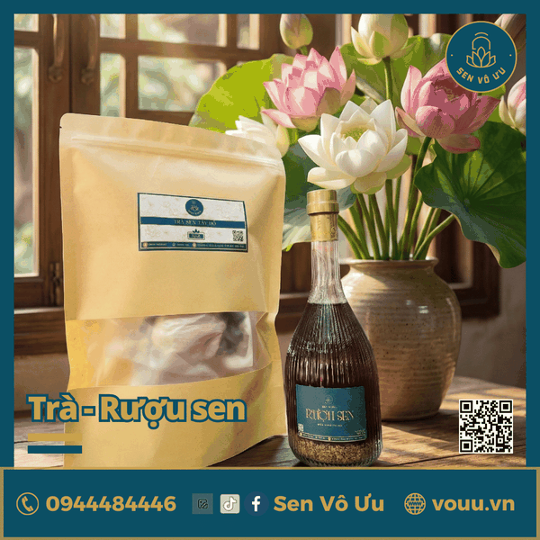 Combo liên hoa phúc lộc: Trà búp sen - Rượu sen | Sen Vô Ưu