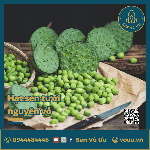 Hạt sen tươi nguyên vỏ | Sen Vô Ưu