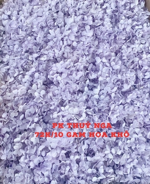Hoa khô cẩm tú cầu-tím (10gam).