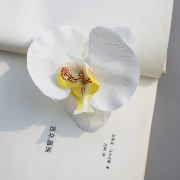 Hoa lan hồ điệp-TRẮNG  (kt 8cm).