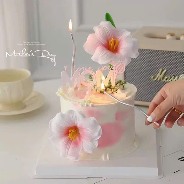 Hoa tuylip nở-HỒNG NHẠT.