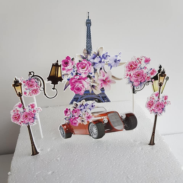 Set hoa ô tô pari E058
