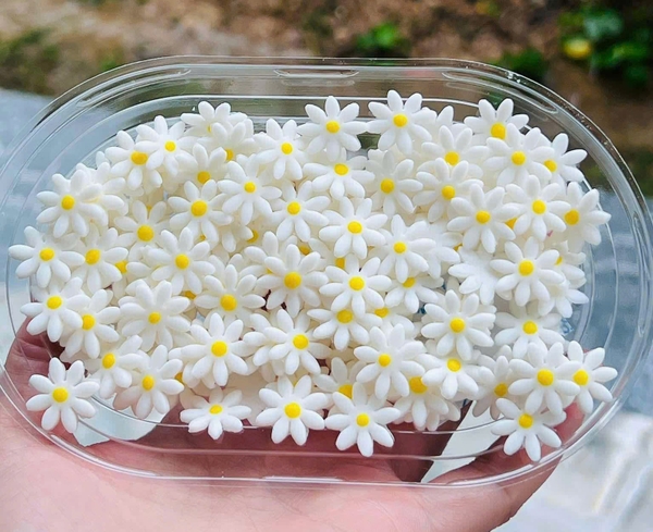 Hộp 200 bông  hoa cúc kẹo đường size TO kt 2.6cm