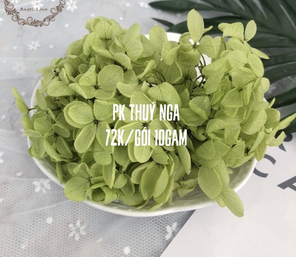 Hoa khô cẩm tú cầu-xanh lá (10gam).