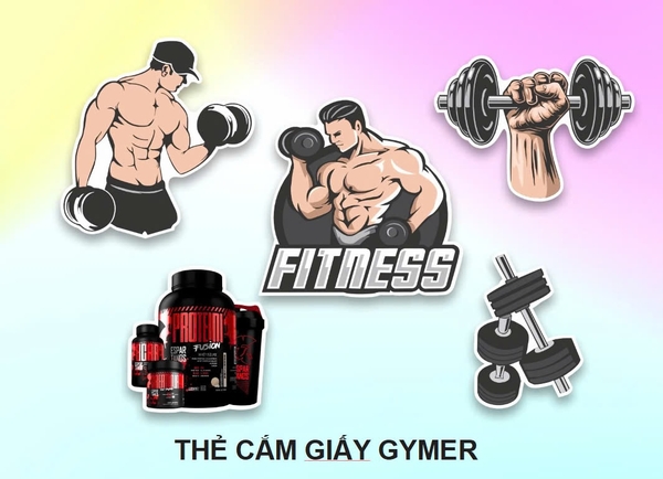 Set cắm giấy Gymer CT.