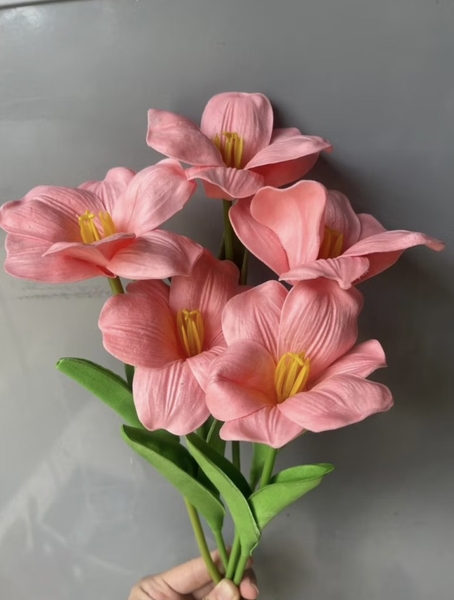 Hoa tuylip nở-HỒNG ĐẬM.