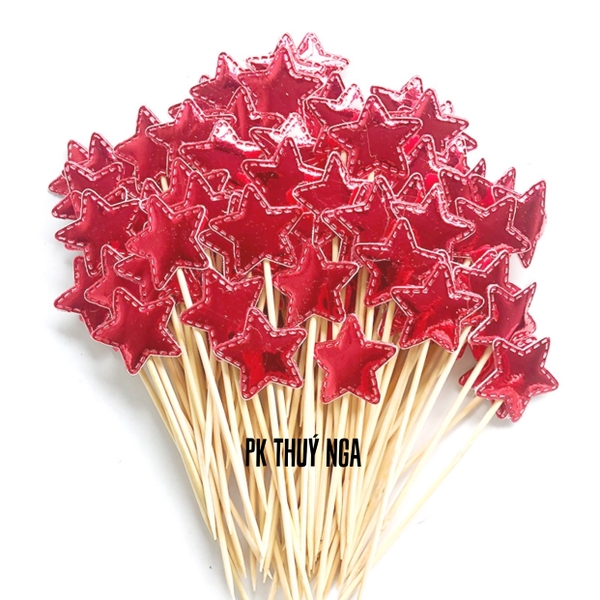 CAM-Túi 100 cây sao da phồng đỏ.V01