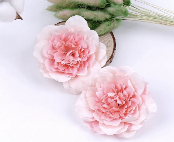 Hoa mẫu đơn - hồng.