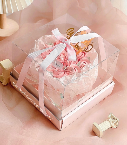 Set 10 hộp mica có kèm đế và dây xách (kt 20x20x17cm)-HỒNG.
