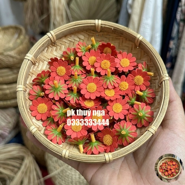 Gói 100 Hoa cúc Tana.
