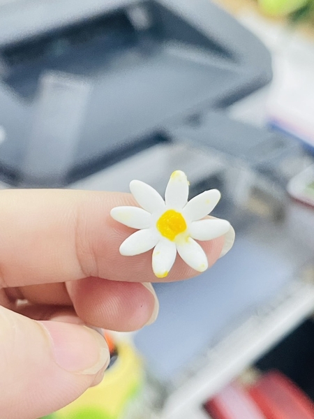 Hộp 108 bông hoa cúc  bằng kẹo đường (ăn được) -thanh lý do vận chuyển bị chảy phần nhân vàng, có thể thay bằng viên bi đường.