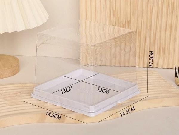 Set 50 hộp nhựa PET (H-195) (14.5X14.5X11.5cm).