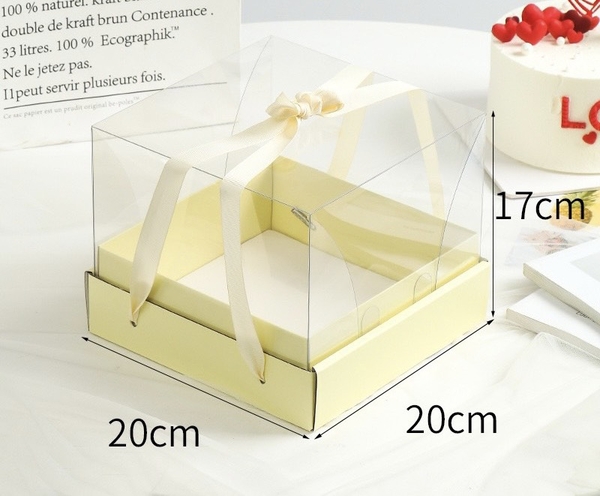 Set 10 hộp mica có kèm đế và dây xách (kt 20x20x17cm)-VÀNG.