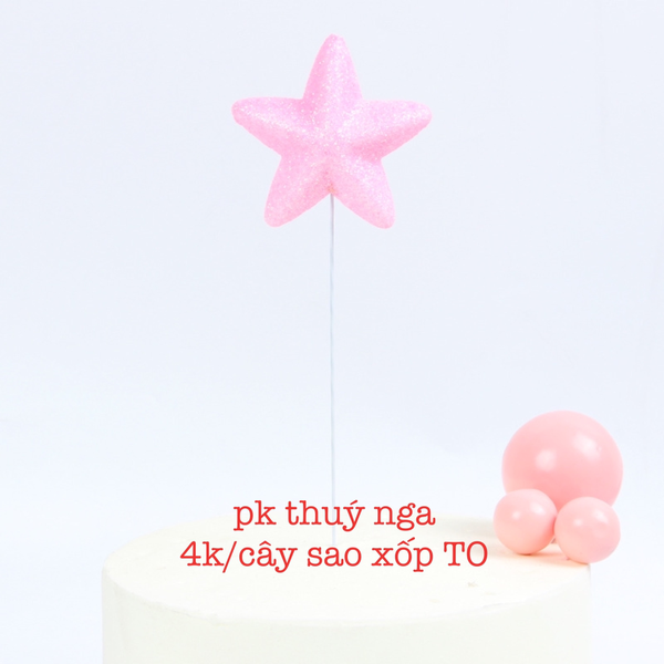 CAM-Cây sao xốp - hồng