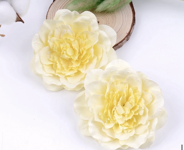 Hoa mẫu đơn - vàng.