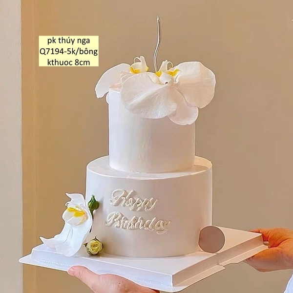 Hoa lan hồ điệp-TRẮNG  (kt 8cm).