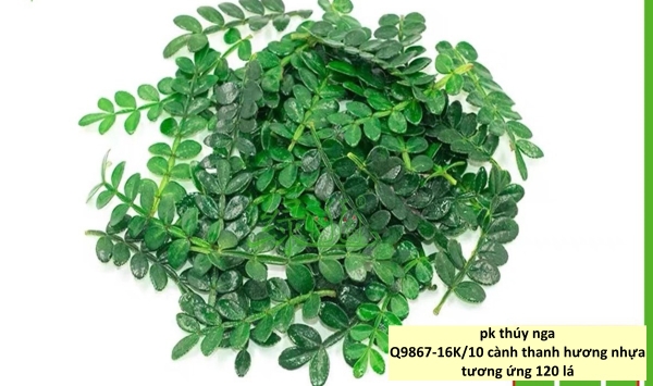10 cành thanh hương nhựa (tương đương 120 lá).
