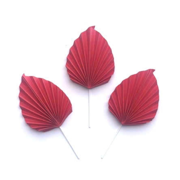 Set 3 quạt nhọn giấy ĐỎ-HD.