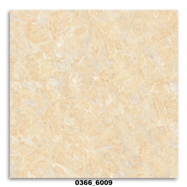 gach-lat-nise-0366-6009