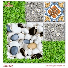 gach-lat-toronto-trg-5510