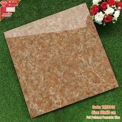 gach-lat-toronto-trt-6810