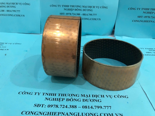 bac-dong-lot-canh-huong-sf-2