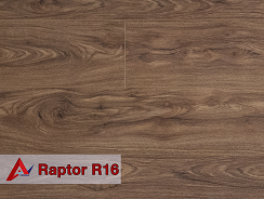 raptor-r16