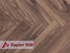 raptor-r28-2