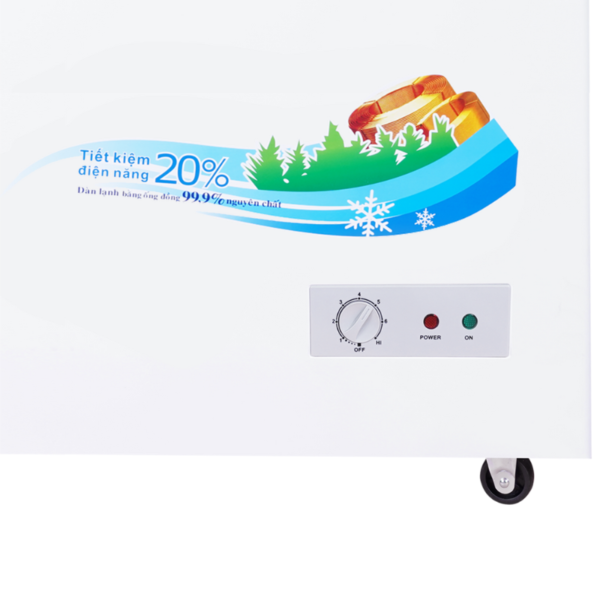 Tủ đông Sanaky 220 lít VH-2899W1