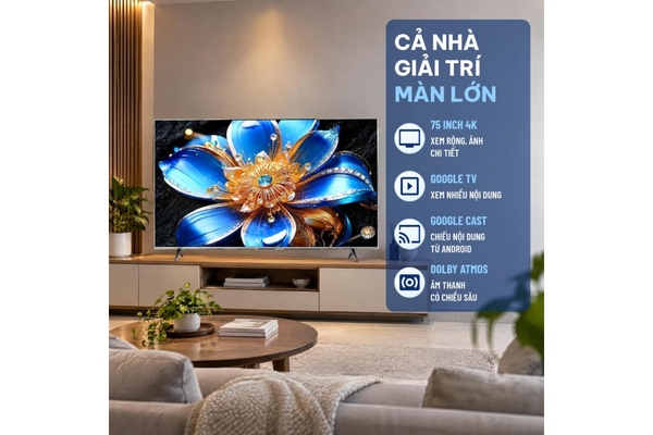 Google Tivi QLED TCL 4K 75 inch 75T6D Mới 2026