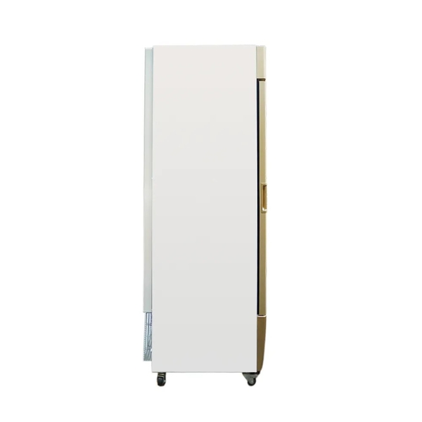 Tủ đông đứng Alaska 350 lít IF-350G - ảnh 2