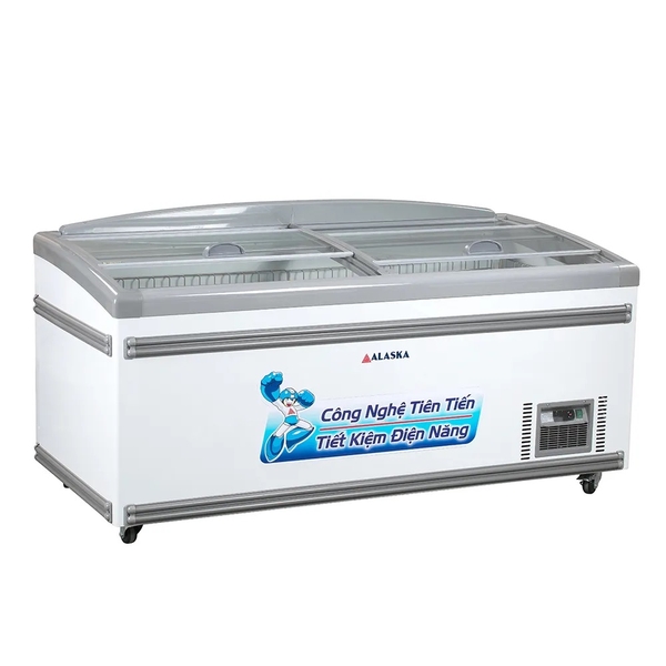 Tủ đông bày hàng Alaska 450 lít KN-450 - ảnh 4