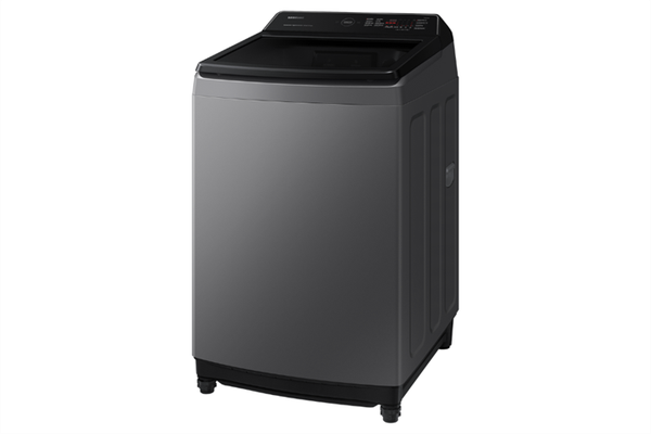 Máy giặt Samsung Inverter 17 kg WA17CG6442BDSV - ảnh 2
