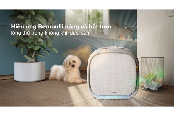 Máy lọc không khí thú cưng Philips PureProtect Pet Series 3000 104m² AC3360/11