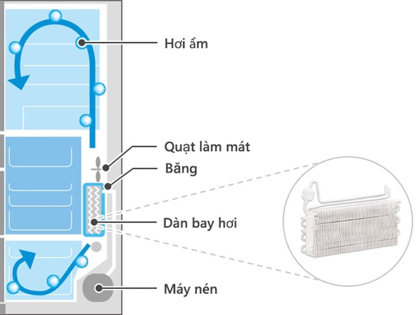 Tủ lạnh Hitachi Inverter 540 lít R-HW540RV (XK) - ảnh 4