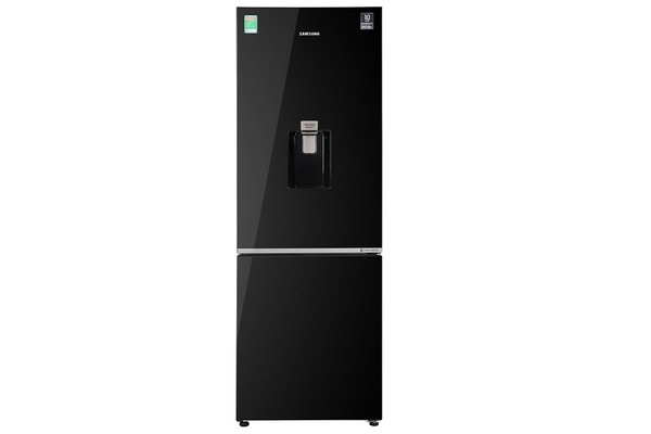 Tủ lạnh Samsung Inverter 307 lít RB30N4190BU/SV - ảnh 1
