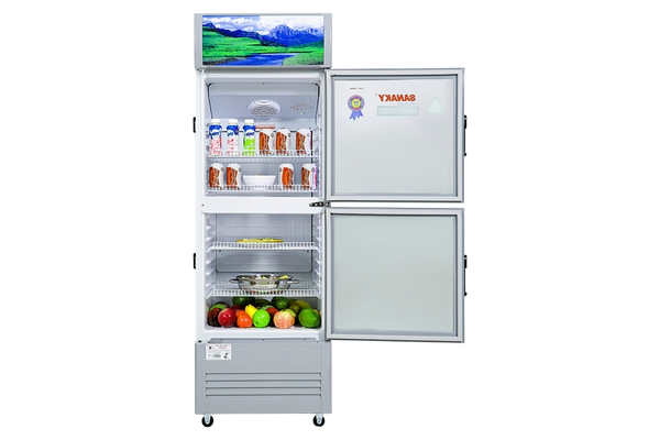 Tủ mát Sanaky 240 lít VH-308WL - ảnh 4