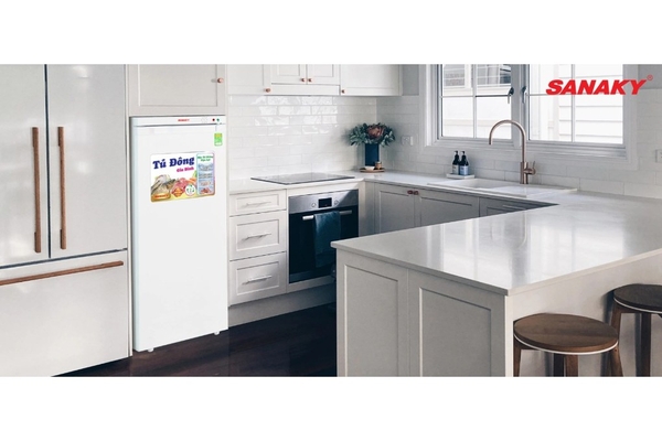 Tủ đông đứng Sanaky 150 lít VH-180VD