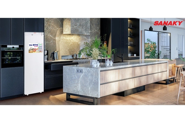 Tủ đông đứng Sanaky 213 lít VH-230VD