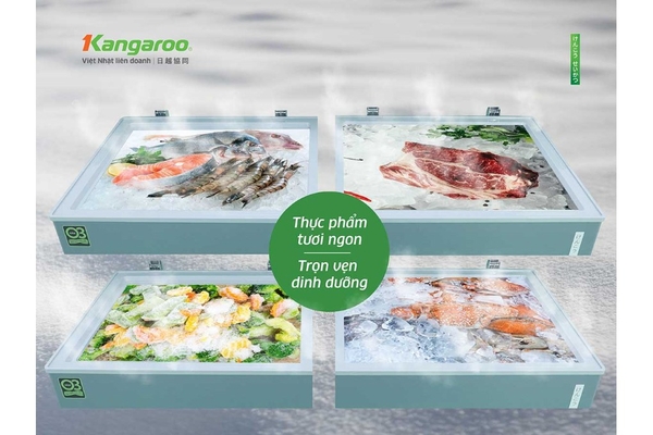 Tủ đông Kangaroo 430 lít KG430G1N
