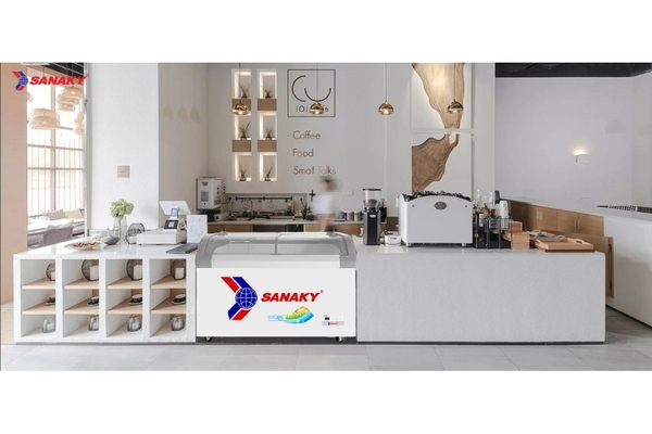 Tủ đông kính lùa Sanaky 350 lít VH-4899KB