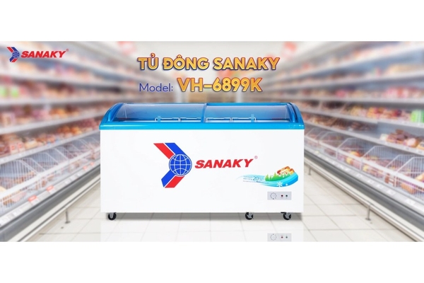 Tủ đông kính lùa Sanaky 437 lít VH-6899K