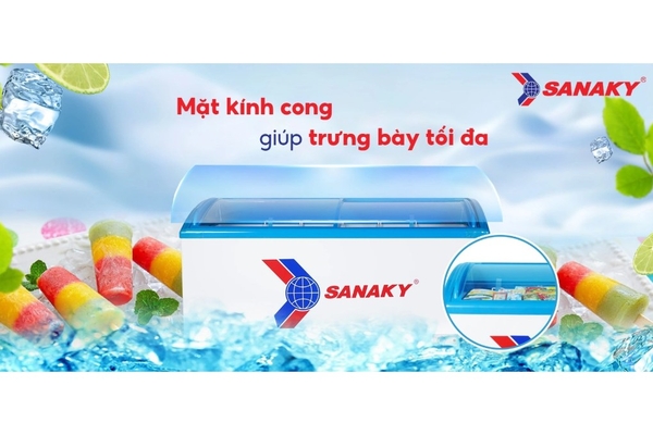 Tủ đông kính lùa Sanaky 437 lít VH-6899K