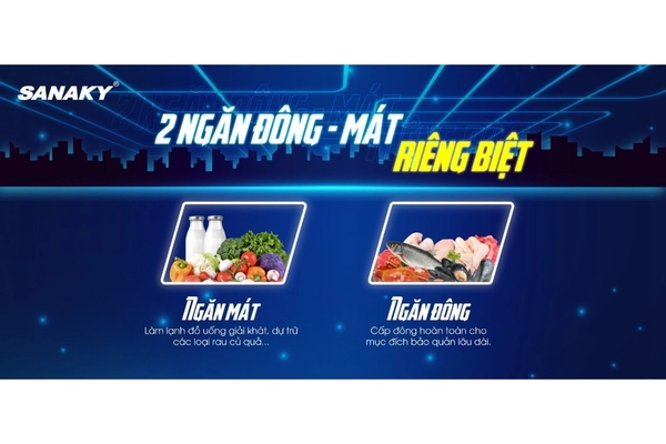 Tủ đông Sanaky 485 lít VH-6699W2K
