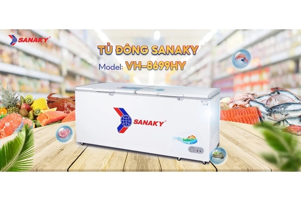 Tủ đông Sanaky 761 lít VH-8699HY